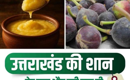 उत्तराखंड की बेड़ू फल और बद्री गाय का घी अब अंतरराष्ट्रीय पहचान प्राप्त कर चुके हैं!
