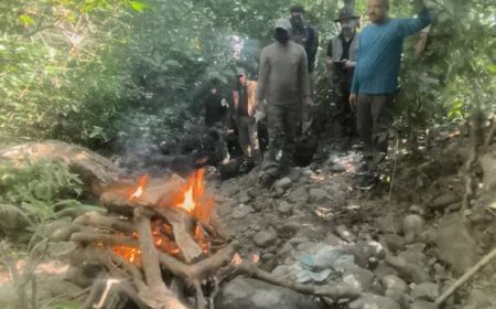 उत्तराखंड: जिम कॉर्बेट पार्क में गुलदार की मौत ने मचाया हड़कंप