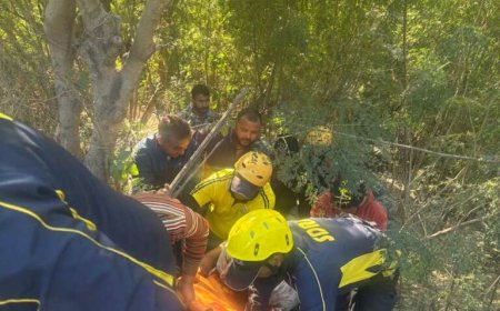 उत्तराखंड: दुर्घटनाग्रस्त ट्रक से SDRF ने किया घायल का रेस्क्यू