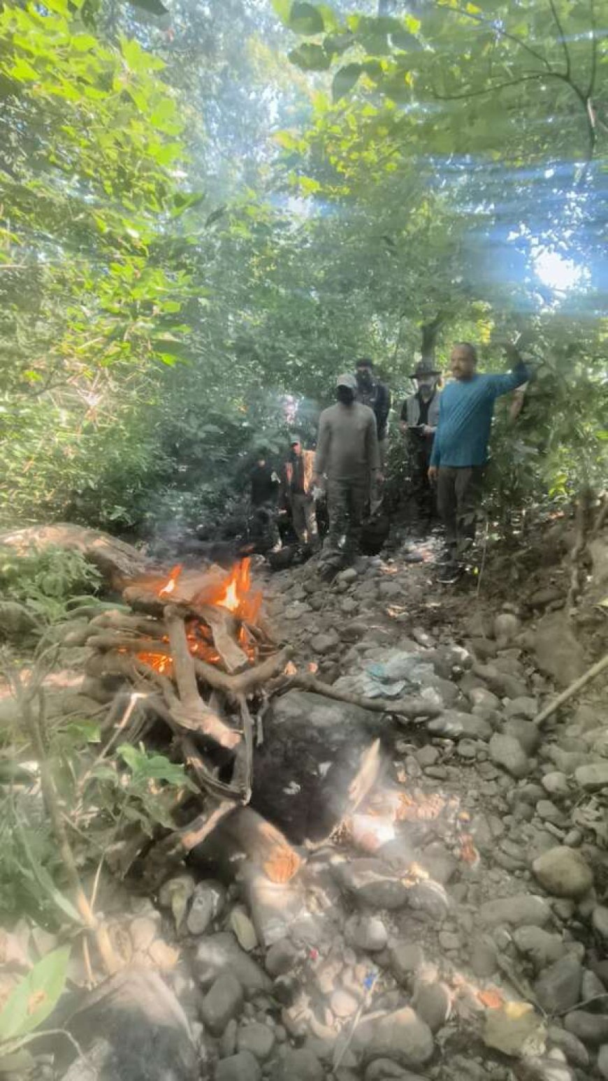 उत्तराखंड: जिम कॉर्बेट पार्क में गुलदार की मौत ने मचाया हड़कंप