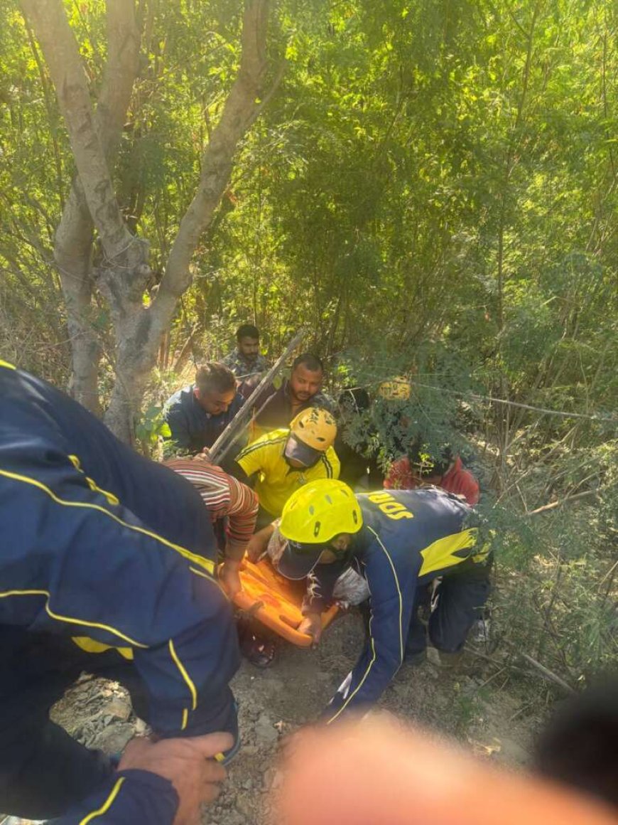 उत्तराखंड: दुर्घटनाग्रस्त ट्रक से SDRF ने किया घायल का रेस्क्यू