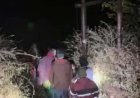 उत्तराखंड में जंगली जानवरों की बढ़ती गतिविधियों पर प्रशासन की पहल