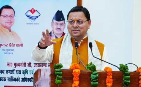 मुख्यमंत्री ने 178 लोक सेवा आयोग के अभ्यर्थियों को नियुक्ति पत्र प्रदान किए - नई उम्मीदें, नई शुरुआत