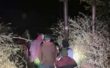 उत्तराखंड में जंगली जानवरों की बढ़ती गतिविधियों पर प्रशासन की पहल