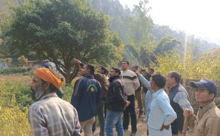 द्वाराहाट क्षेत्र में भालू के हमले में दो महिलाएं गंभीर रूप से घायल