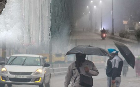 देहरादून में मौसम अपडेट: कोहरे का ऑरेंज अलर्ट और शीत दिवस की चेतावनी