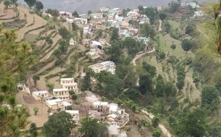 श्रीकोट गांव की एकता बनी मिसाल, संकट के समय इंसानियत ने जीती जाति को