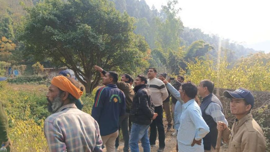 द्वाराहाट क्षेत्र में भालू के हमले में दो महिलाएं गंभीर रूप से घायल