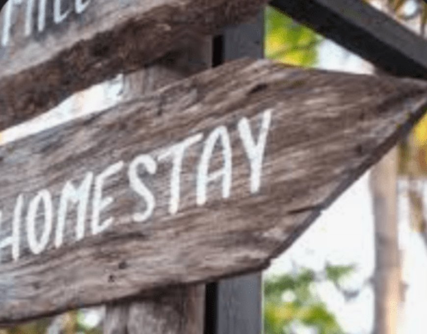उत्तराखण्ड में होम स्टे के लिए स्थानीय निवासी होना अनिवार्य: धामी कैबिनेट का नया निर्णय