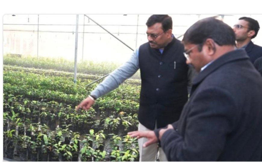 मुख्य सचिव आनन्द बर्द्धन का सेलाकुई में सगन्ध पौधा केन्द्र का सफल भ्रमण