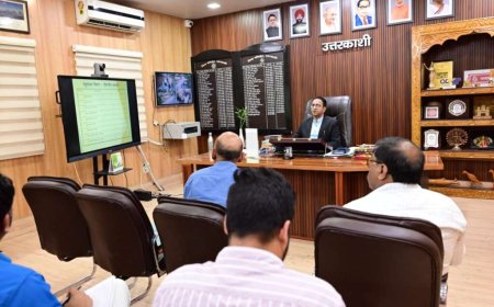 दुग्ध उत्पादन में वृद्धि के लिए सर्वोत्तम पशु चारा का चयन करें
