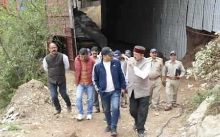 अब कबाड़ नहीं, बल्कि कमाई का प्रमुख स्रोत है चीड़ की पत्तियां: डीएम