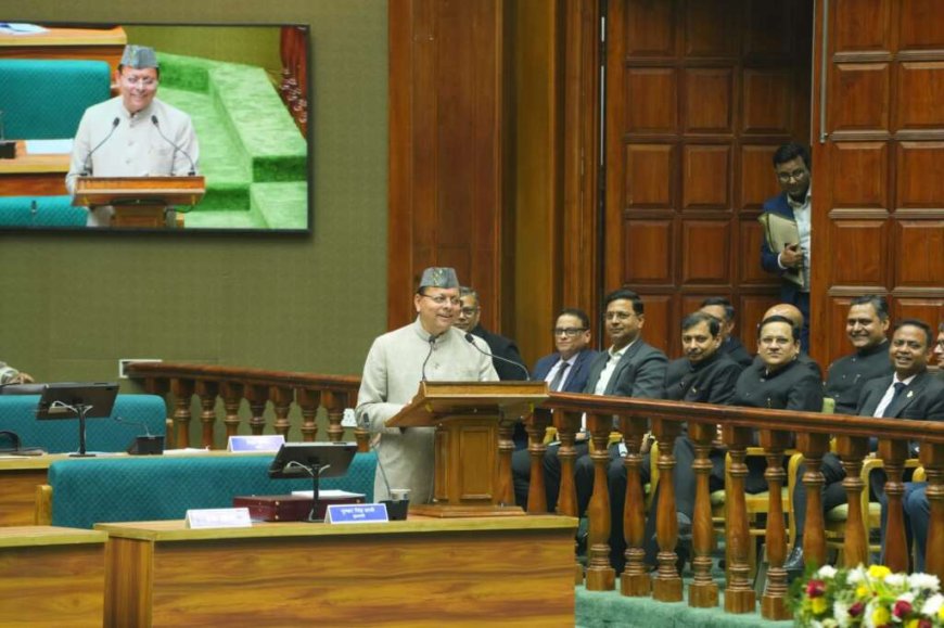 मातृशक्ति की उन्नति के लिए सरकार की ठोस पहल: जेंडर बजट में बढ़ोतरी और सुरक्षा की योजनाएँ