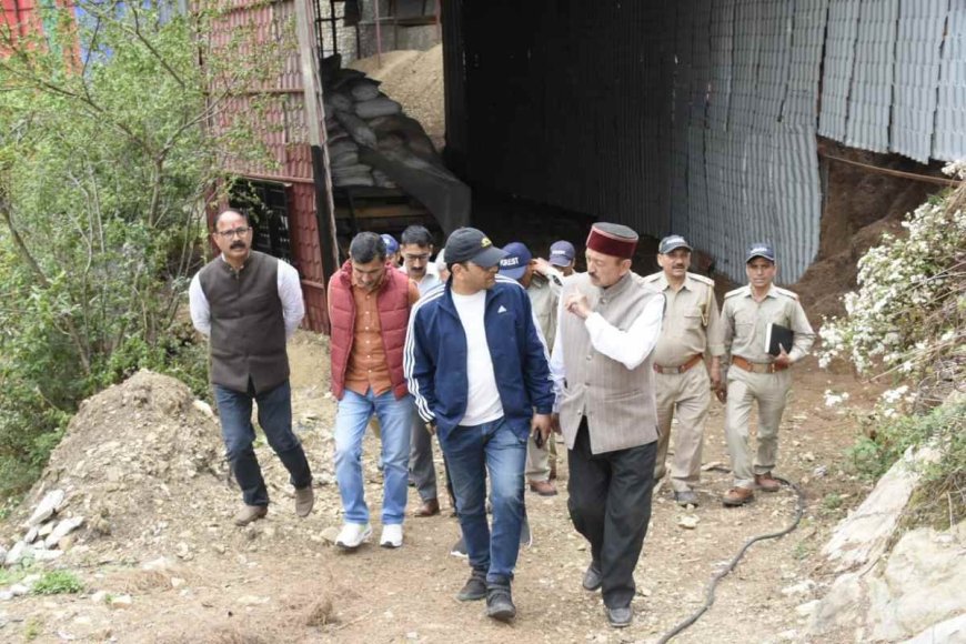 अब कबाड़ नहीं, बल्कि कमाई का प्रमुख स्रोत है चीड़ की पत्तियां: डीएम