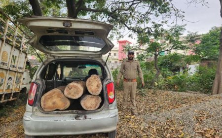 लालकुआं में कार से बेशकीमती लकड़ी की तस्करी का मामला सामने आया