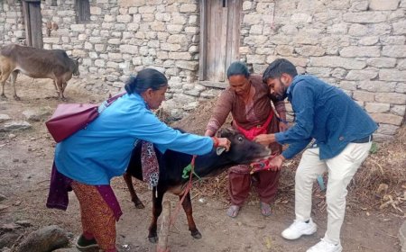 उत्तराखंड में पशु सखी बनीं ‘डॉक्टर दीदी’, ग्रामीण महिलाओं का जीवन बदला