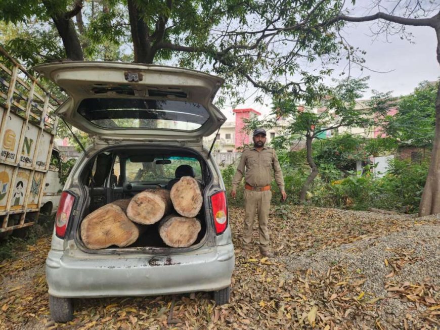 लालकुआं में कार से बेशकीमती लकड़ी की तस्करी का मामला सामने आया