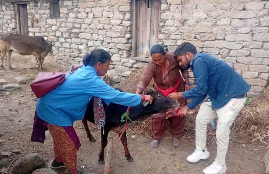 उत्तराखंड में पशु सखी बनीं ‘डॉक्टर दीदी’, ग्रामीण महिलाओं का जीवन बदला
