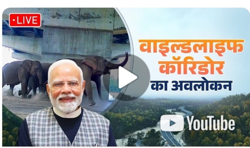 उत्तराखंड के विकास में नया अध्याय: प्रधानमंत्री का लाइव टेलीकास्ट, देखें विस्तृत रिपोर्ट