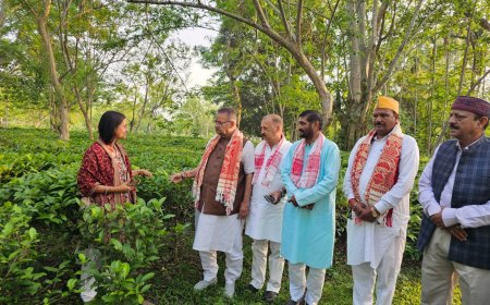 असम के चाय बागानों का दौरा: कृषि मंत्री गणेश जोशी ने उत्तराखंड में चाय उत्पादन को नई दिशा देने की योजना बनाई
