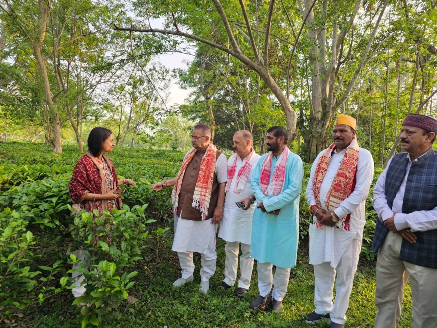 असम के चाय बागानों का दौरा: कृषि मंत्री गणेश जोशी ने उत्तराखंड में चाय उत्पादन को नई दिशा देने की योजना बनाई
