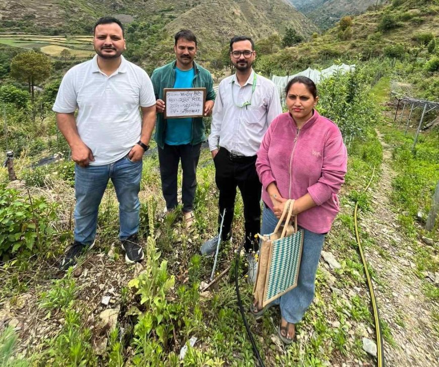 टिहरी में ओलावृष्टि से फसलों को हुआ भारी नुकसान, प्रशासन ने किया स्थल निरीक्षण