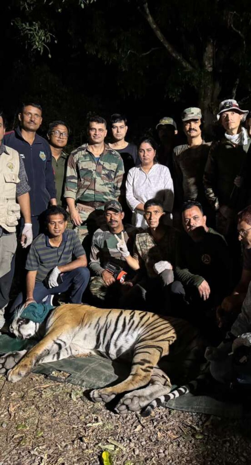 संदिग्ध बाघ को किया ट्रैंकुलाइज, दो ग्रामीणों की मौत की सच्चाई का खुलासा करेगी डीएनए जांच