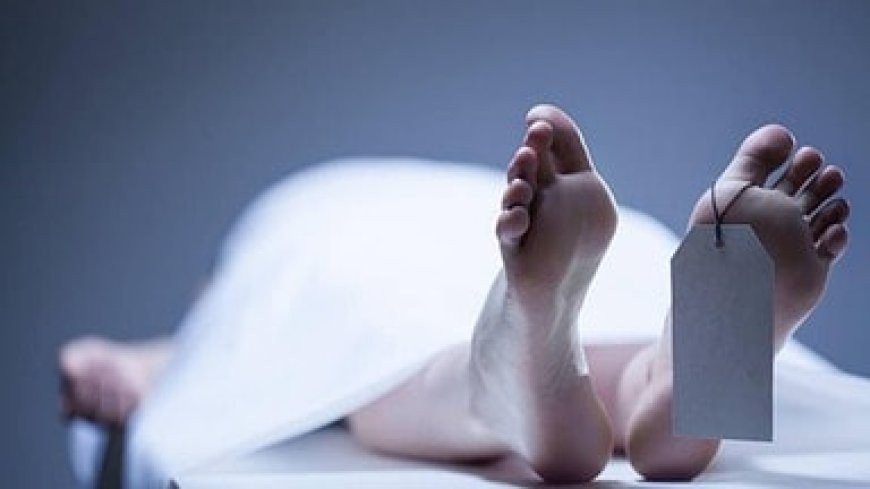 देहरादून: विद्युत पोल पर काम के दौरान करंट लगने से एक की मौत, पांच गंभीर घायल