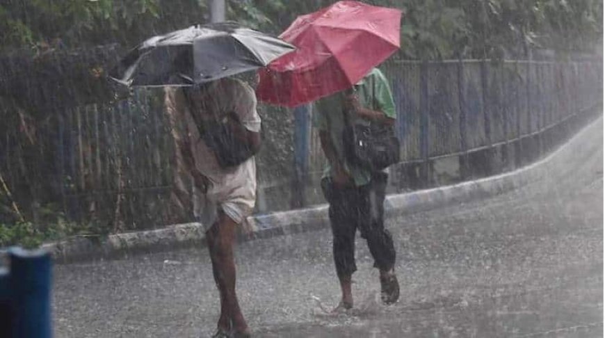 मानसून अपडेट: मानसून ने पकड़ी रफ्तार, सभी राज्यों में बारिश का जलवा