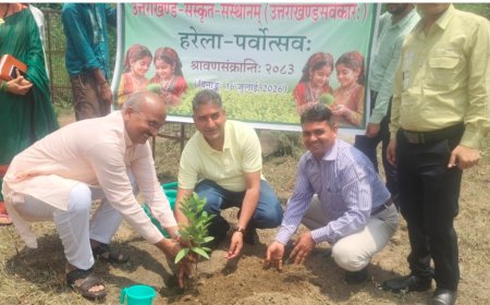 उत्तराखंड संस्कृत संस्थान में धूमधाम से हरेला पर्व का आयोजन