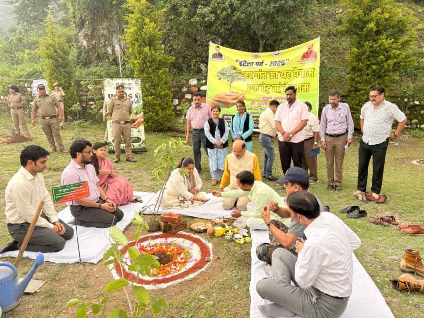 हरेला पर्व: प्रकृति के प्रति हमारी श्रद्धा को दर्शाने वाला एक महत्वपूर्ण उत्सव